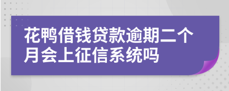 花鸭借钱贷款逾期二个月会上征信系统吗