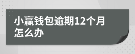 小赢钱包逾期12个月怎么办