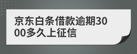 京东白条借款逾期3000多久上征信