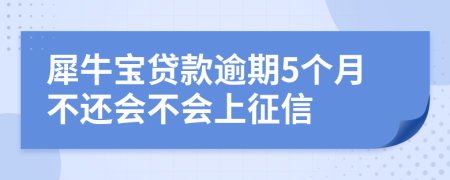 犀牛宝贷款逾期5个月不还会不会上征信