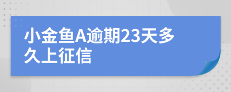 小金鱼A逾期23天多久上征信