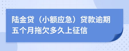 陆金贷（小额应急）贷款逾期五个月拖欠多久上征信