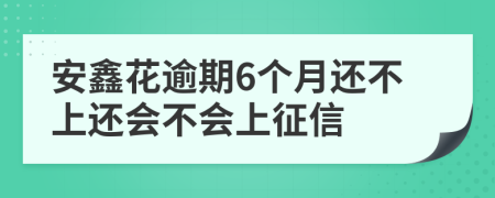 安鑫花逾期6个月还不上还会不会上征信