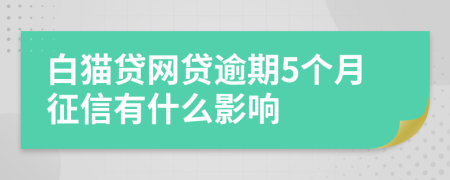 白猫贷网贷逾期5个月征信有什么影响