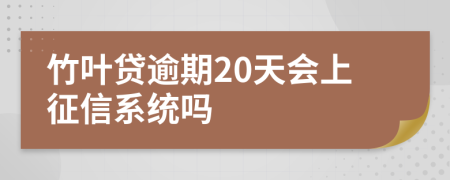 竹叶贷逾期20天会上征信系统吗