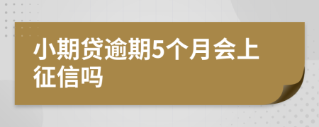 小期贷逾期5个月会上征信吗