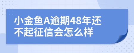 小金鱼A逾期48年还不起征信会怎么样