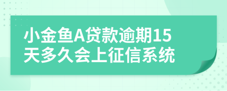 小金鱼A贷款逾期15天多久会上征信系统