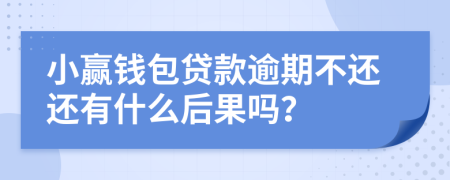 小赢钱包贷款逾期不还还有什么后果吗？