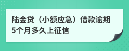 陆金贷（小额应急）借款逾期5个月多久上征信