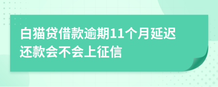 白猫贷借款逾期11个月延迟还款会不会上征信