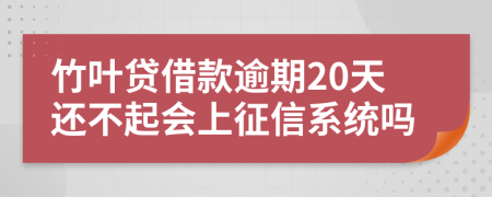 竹叶贷借款逾期20天还不起会上征信系统吗