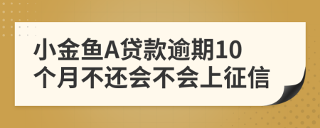 小金鱼A贷款逾期10个月不还会不会上征信