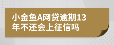 小金鱼A网贷逾期13年不还会上征信吗