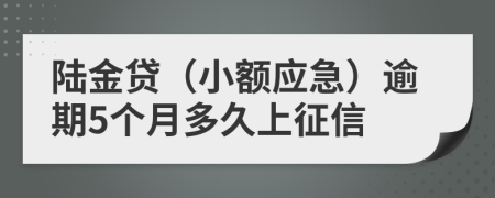 陆金贷（小额应急）逾期5个月多久上征信