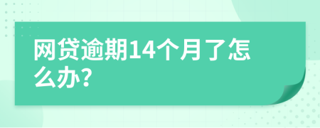 网贷逾期14个月了怎么办？