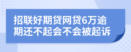 招联好期贷网贷6万逾期还不起会不会被起诉