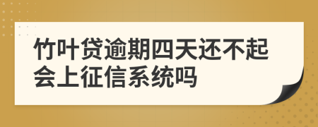 竹叶贷逾期四天还不起会上征信系统吗