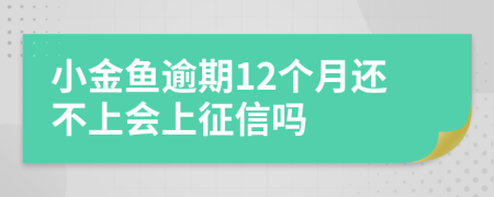 小金鱼逾期12个月还不上会上征信吗