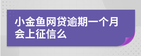 小金鱼网贷逾期一个月会上征信么