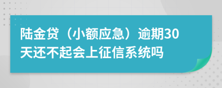 陆金贷（小额应急）逾期30天还不起会上征信系统吗