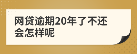 网贷逾期20年了不还会怎样呢