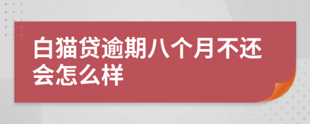 白猫贷逾期八个月不还会怎么样