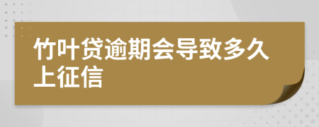 竹叶贷逾期会导致多久上征信