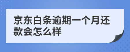 京东白条逾期一个月还款会怎么样