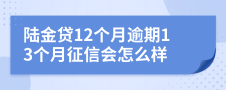 陆金贷12个月逾期13个月征信会怎么样