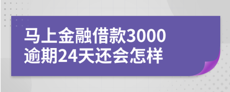 马上金融借款3000逾期24天还会怎样