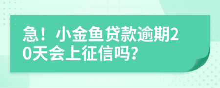 急！小金鱼贷款逾期20天会上征信吗？