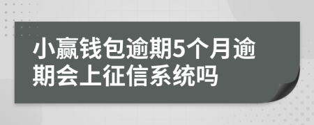 小赢钱包逾期5个月逾期会上征信系统吗