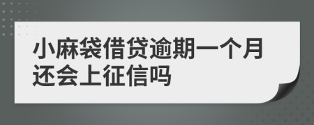 小麻袋借贷逾期一个月还会上征信吗