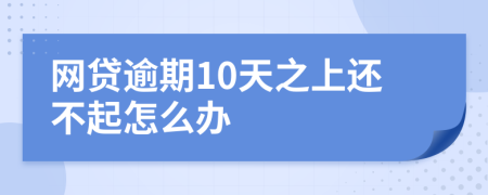 网贷逾期10天之上还不起怎么办