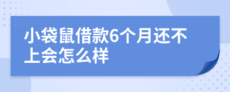 小袋鼠借款6个月还不上会怎么样