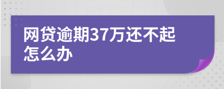 网贷逾期37万还不起怎么办