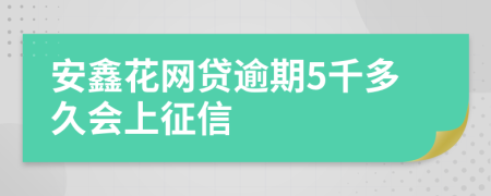 安鑫花网贷逾期5千多久会上征信