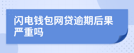 闪电钱包网贷逾期后果严重吗