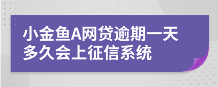 小金鱼A网贷逾期一天多久会上征信系统