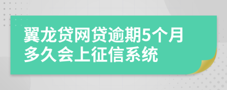 翼龙贷网贷逾期5个月多久会上征信系统