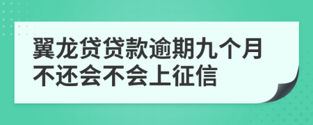 翼龙贷贷款逾期九个月不还会不会上征信