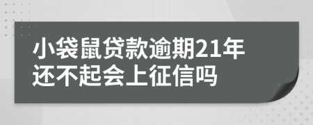 小袋鼠贷款逾期21年还不起会上征信吗