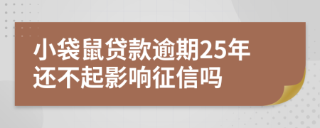 小袋鼠贷款逾期25年还不起影响征信吗