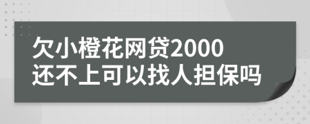 欠小橙花网贷2000还不上可以找人担保吗