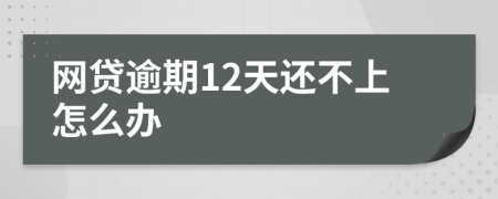 网贷逾期12天还不上怎么办