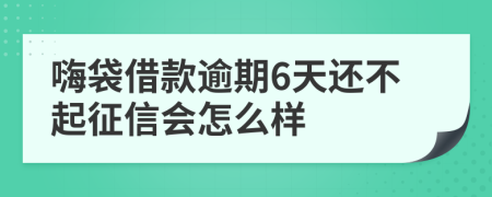 嗨袋借款逾期6天还不起征信会怎么样