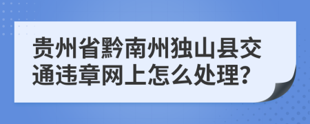 贵州省黔南州独山县交通违章网上怎么处理？