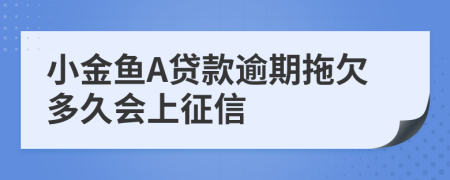 小金鱼A贷款逾期拖欠多久会上征信