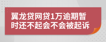 翼龙贷网贷1万逾期暂时还不起会不会被起诉